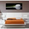 Lienzo Tulipán fondo negro Arte y decoración Cuadros para Dormitorio elegantes 